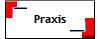Praxis