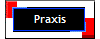 Praxis